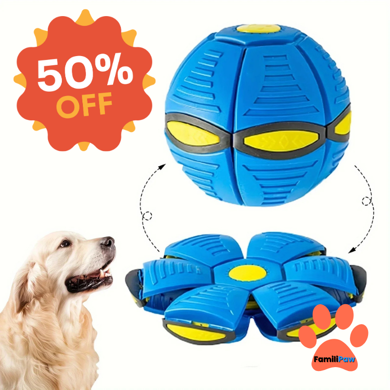 Tired of the Same Old Toy? Unleash the Fun with the Flying Saucer Ball!