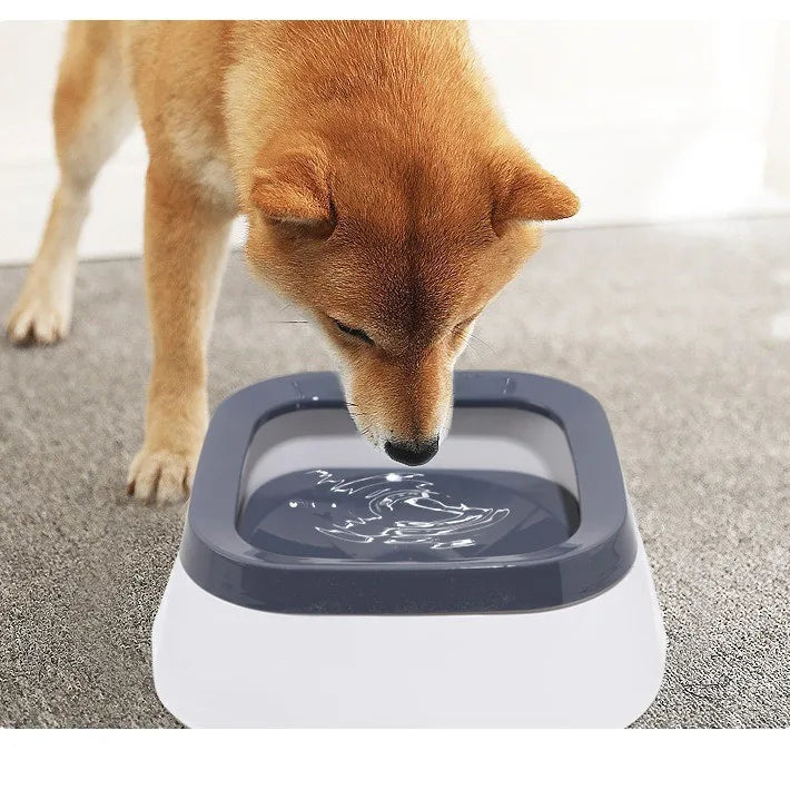 Bye-bye, Mess! The Splash-Proof Bowl that Protects Your Home.
